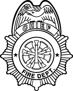 Sheriff Badges (14)